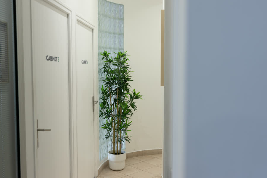 Couloir desservant les cabinets de consultation, portes numérotées et plante verte